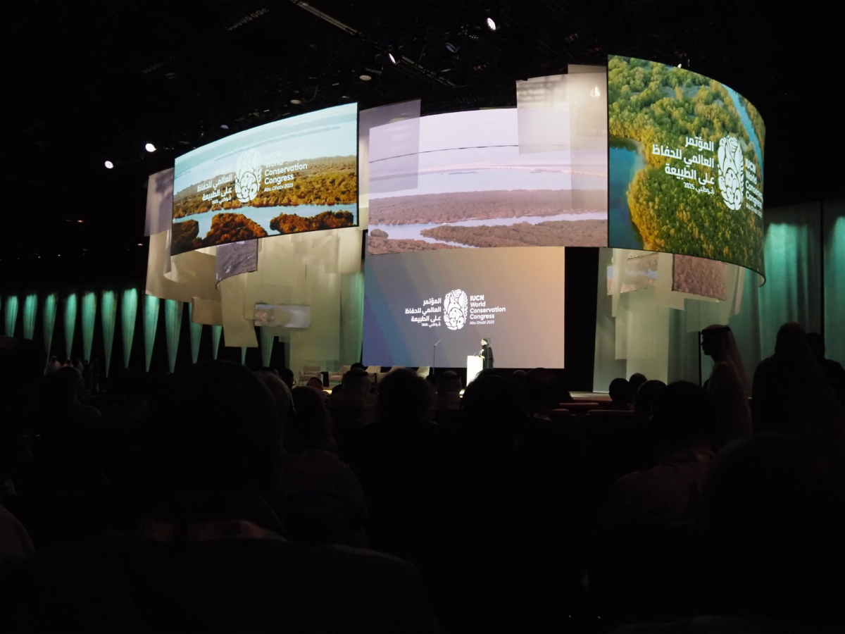 Le Luxembourg à l’UICN: « Aligner économie et écologie est indispensable! » Serge Wilmes au congrès de l’Union internationale pour la conservation de la nature à Abu Dhabi